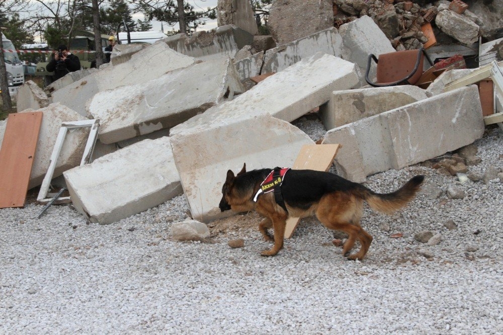 Konya’da Helikopter Destekli Gerçeğini Aratmayan Deprem Tatbikatı 11