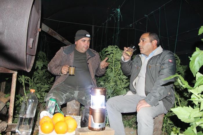 Soğuk Hava Antalya'da Çiftçiye Gece Yarısı Seraya Odun Taşıttı 12