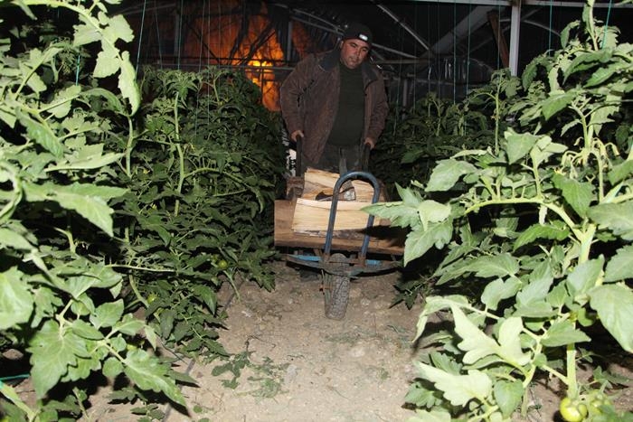 Soğuk Hava Antalya'da Çiftçiye Gece Yarısı Seraya Odun Taşıttı 16
