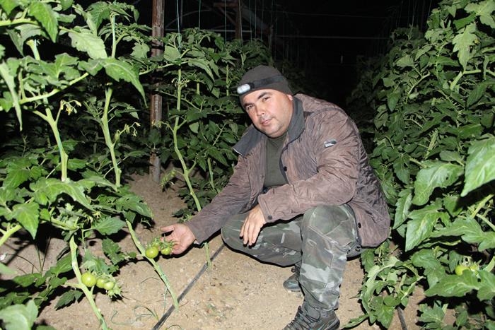 Soğuk Hava Antalya'da Çiftçiye Gece Yarısı Seraya Odun Taşıttı 8