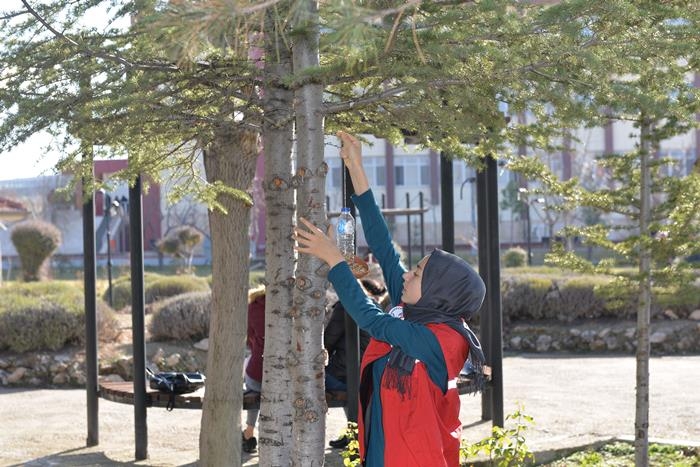 KMÜ'lü Öğrenciler Kuşyemliklerini Kuşlarla Buluşturdu 3