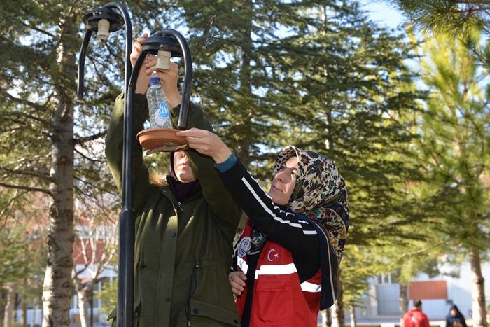 KMÜ'lü Öğrenciler Kuşyemliklerini Kuşlarla Buluşturdu 5