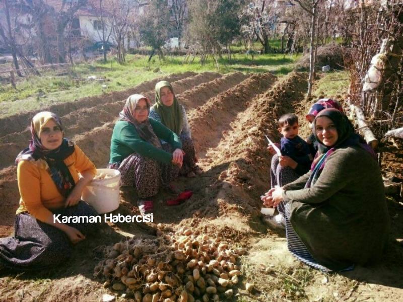 Ak Kadınlar Çat Kapı Çalışmalarını Sürdürüyor 14