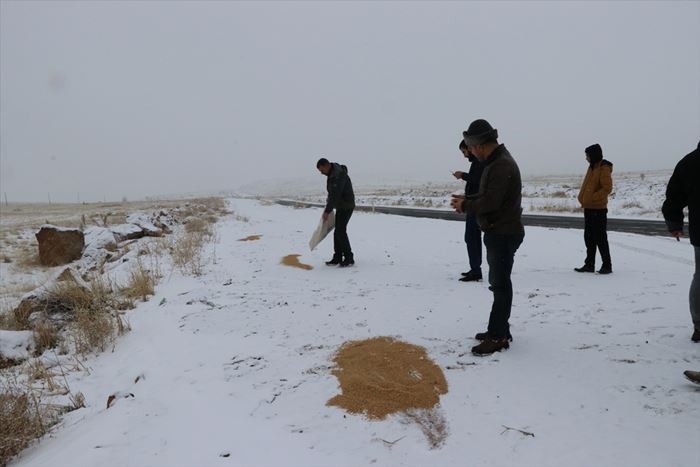Hayvanlar İçin 15 Yıldır Doğaya Yem Bırakıyor 10
