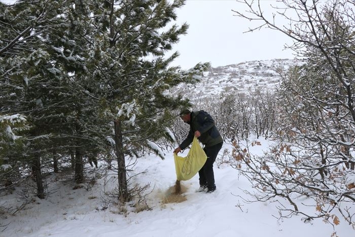 Hayvanlar İçin 15 Yıldır Doğaya Yem Bırakıyor 11