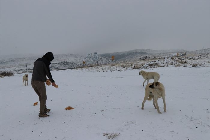 Hayvanlar İçin 15 Yıldır Doğaya Yem Bırakıyor 4