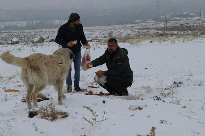 Hayvanlar İçin 15 Yıldır Doğaya Yem Bırakıyor 8