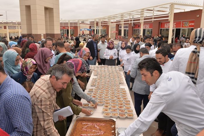 Karamanoğlu Mehmetbey Üniversitesi 2018 17