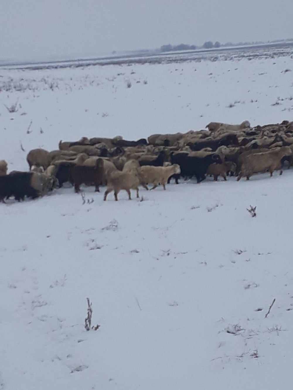 Karaman'da Kapanan Köy Yolları İçin Çalışmalar Sürüyor 7