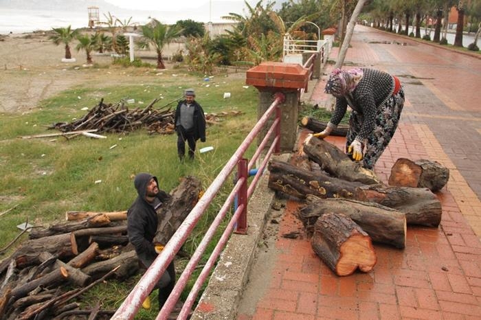 Antalya'da Kışlık Odun Toplamak İçin Sahile Akın Ettiler 1