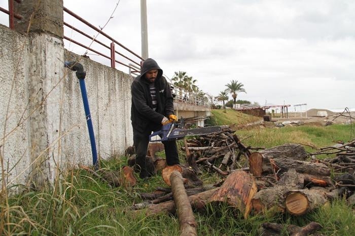 Antalya'da Kışlık Odun Toplamak İçin Sahile Akın Ettiler 2