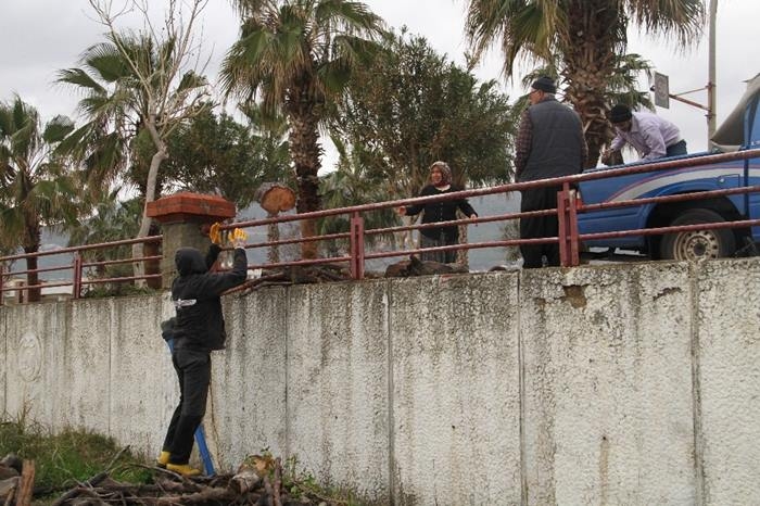 Antalya'da Kışlık Odun Toplamak İçin Sahile Akın Ettiler 4