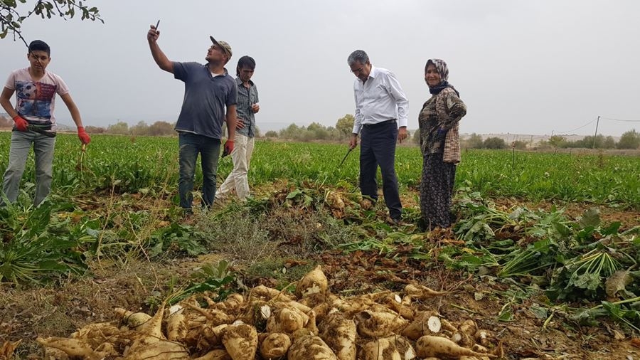 Konya Şeker Ezberleri Bozdu Farkını Rakamlar Ortaya Koydu 1