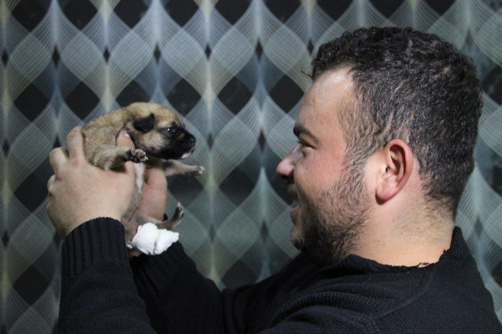 Karaman'da Köprü Altında Bir Ayağı Ve Kuyruğu Kesilmiş Yavru Köpek Bulun 7