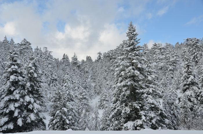 Antalya'da Kar Manzaraları 1