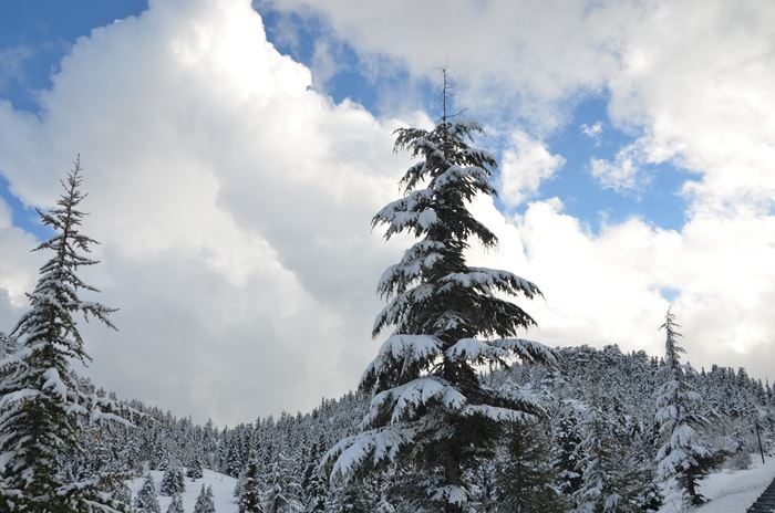 Antalya'da Kar Manzaraları 15