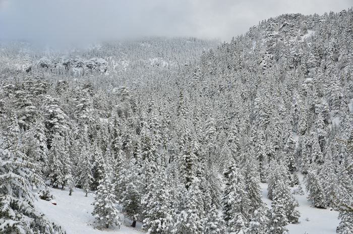 Antalya'da Kar Manzaraları 17