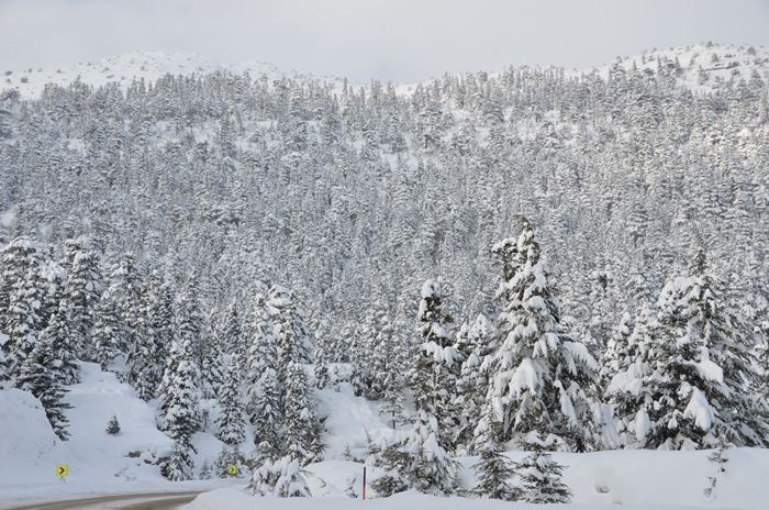 Antalya'da Kar Manzaraları 6