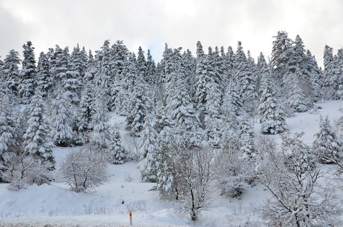 Antalya'da Kar Manzaraları 8