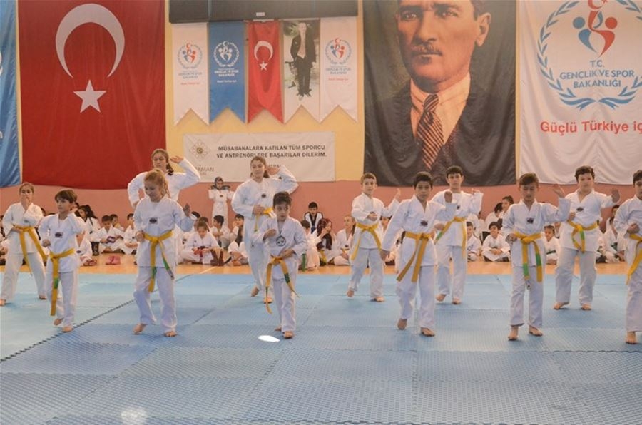 Karaman'da Taekwondo Kuşak Sınavı Yapıldı 2