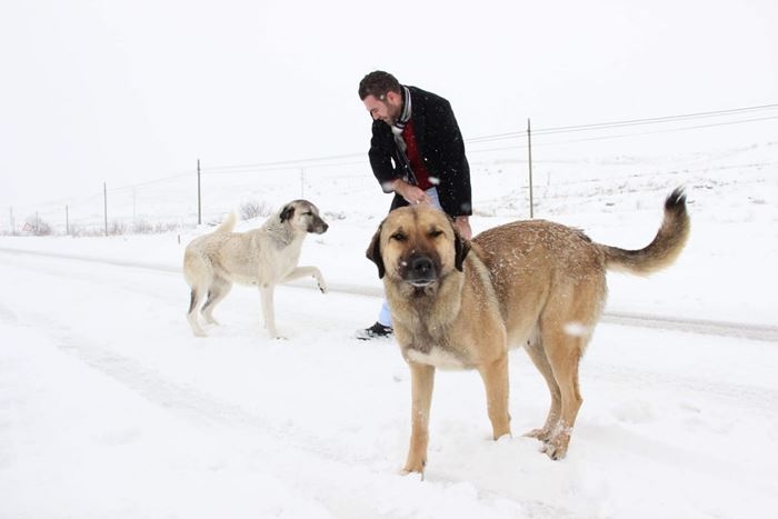 Karaman'da Kar Yağışı Ve Tip Hayatı Olumsuz Etkiliyor 2