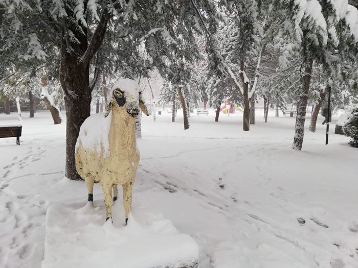 Karaman'da Kar Yağışı Ve Tip Hayatı Olumsuz Etkiliyor 7