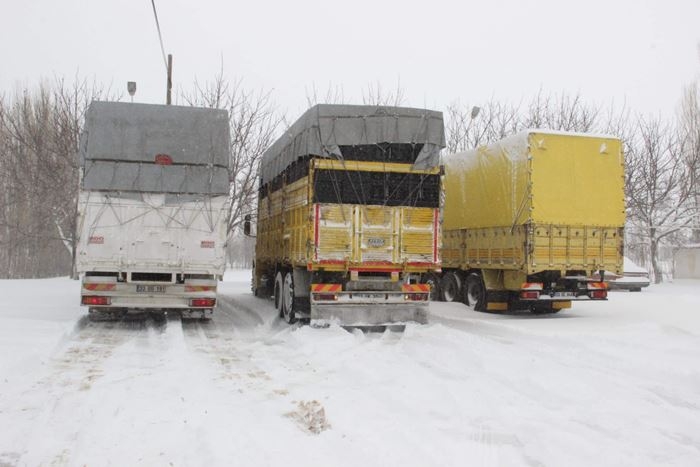Karaman'da Kar Yağışı Ve Tip Hayatı Olumsuz Etkiliyor 8