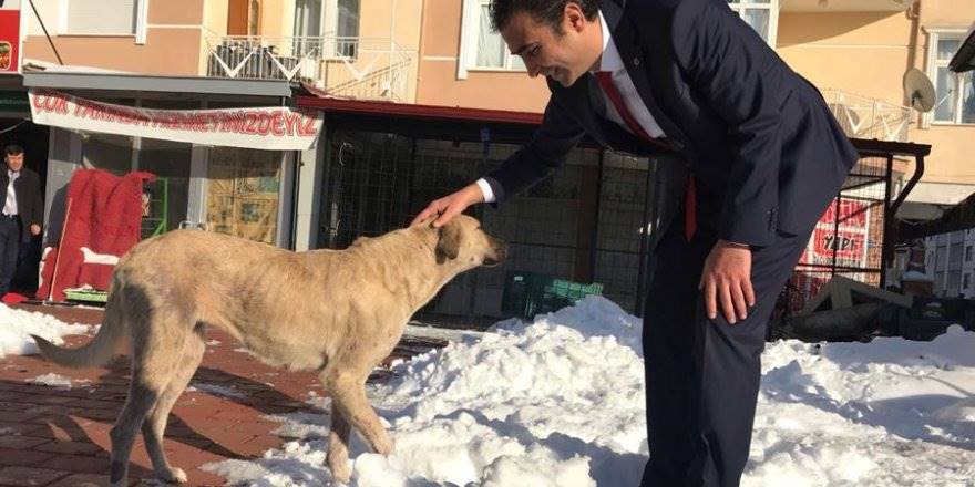 MHP Belediye Başkan Adayı Savaş Kalaycı 'Patiler Köyü'Projesini Hayata G