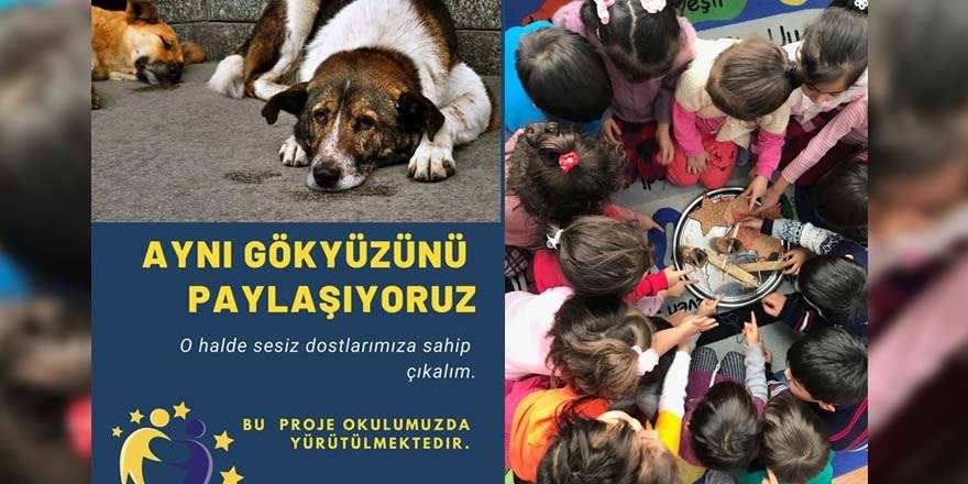 Karaman Mehmet Çavaş İlkokulunda "Aynı Gökyüzünü Paylaşıyoruz"Projesi