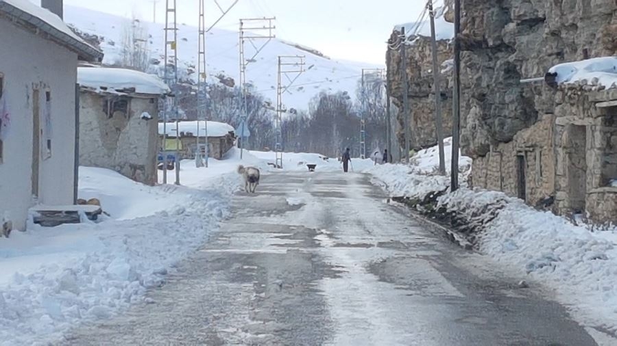 Ayrancı Kaymakamı Mehmet Göze'den Kar Çalışması 10