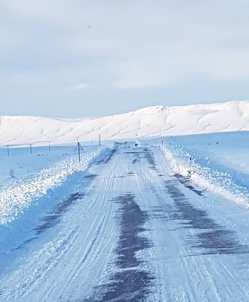 Ayrancı Kaymakamı Mehmet Göze'den Kar Çalışması 19