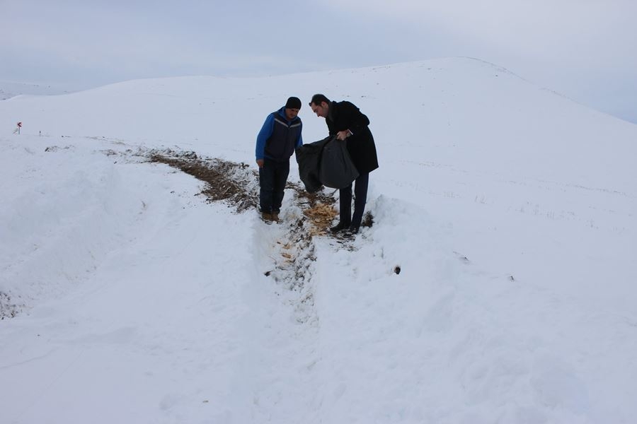 Ayrancı Kaymakamı Mehmet Göze'den Kar Çalışması 9