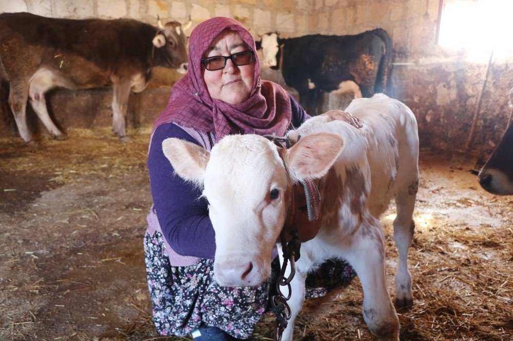 Aksaray'da Muhtar Adayı Mavuş Kadın, Köyün Problemlerini Çözecek 8