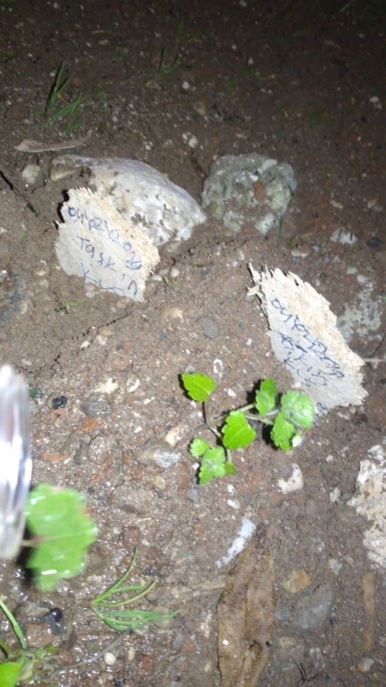 Antalya'da Ölen Kuşları İçin Gözyaşlarına Boğuldu 2