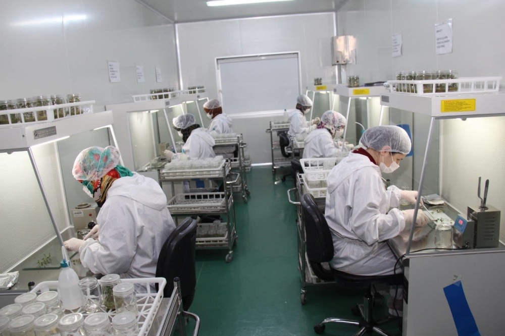 Patates Tohumun da Yerli Atılım 2