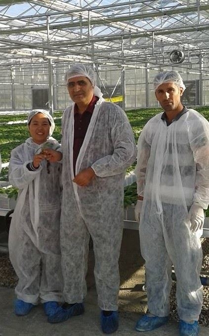 Patates Tohumun da Yerli Atılım 4