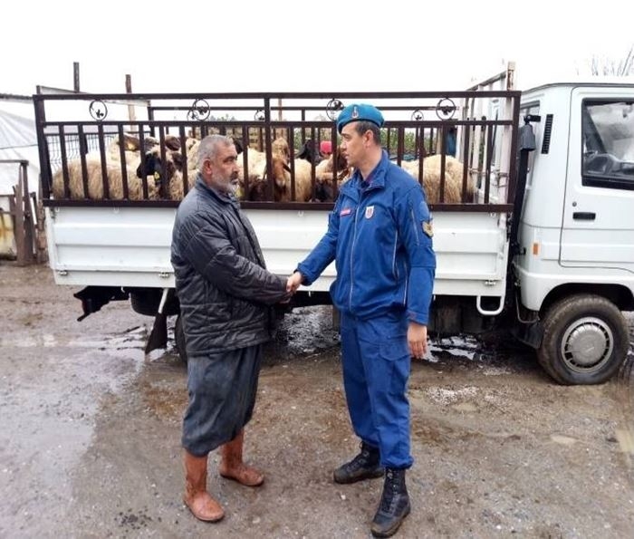 Hayvan Hırsızları Jandarmadan Kaçamadı 2