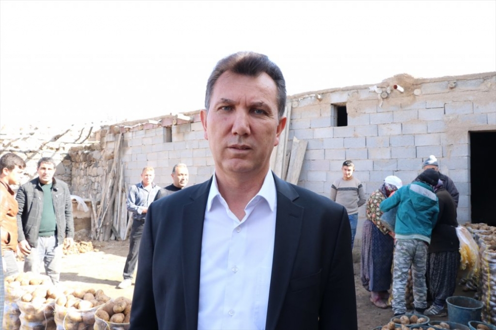 Tanzim Satışın Patatesi Niğde'den 2