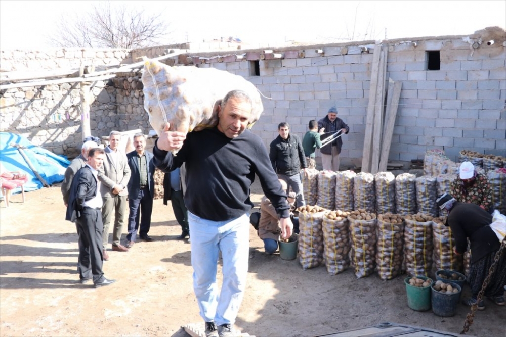 Tanzim Satışın Patatesi Niğde'den 4