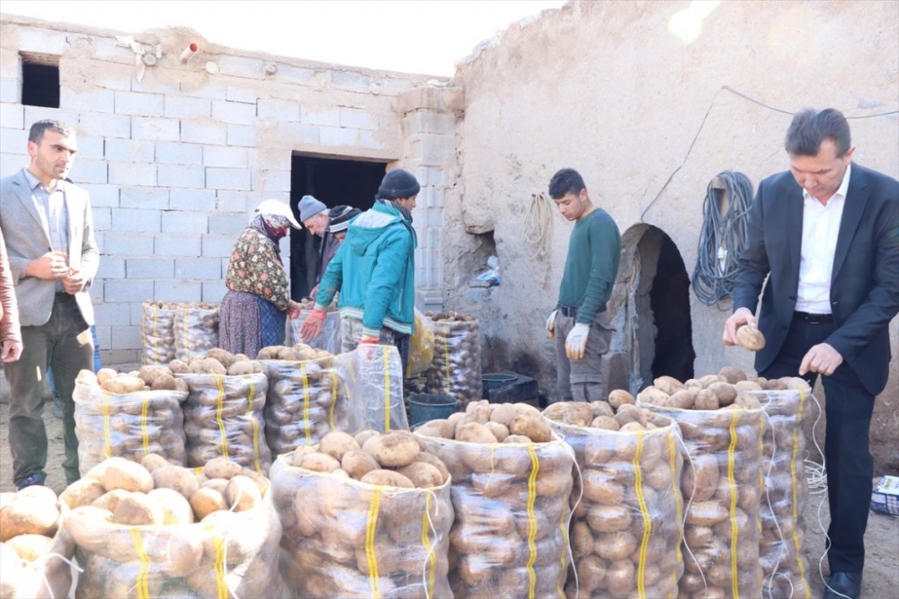 Tanzim Satışın Patatesi Niğde'den 6
