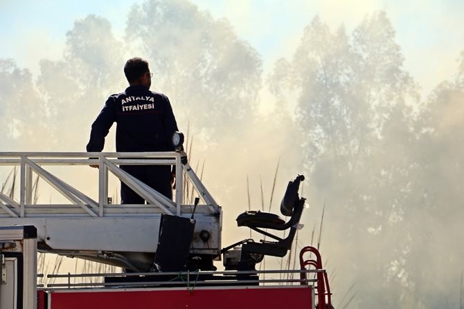 Antalya’da Korkutan Sazlık Yangını 2