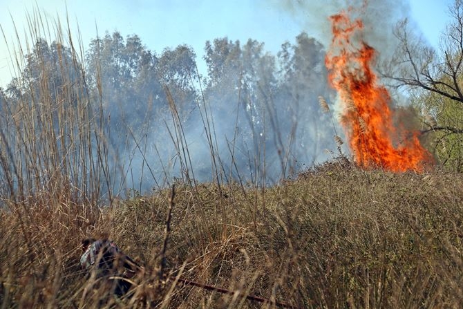 Antalya’da Korkutan Sazlık Yangını 3