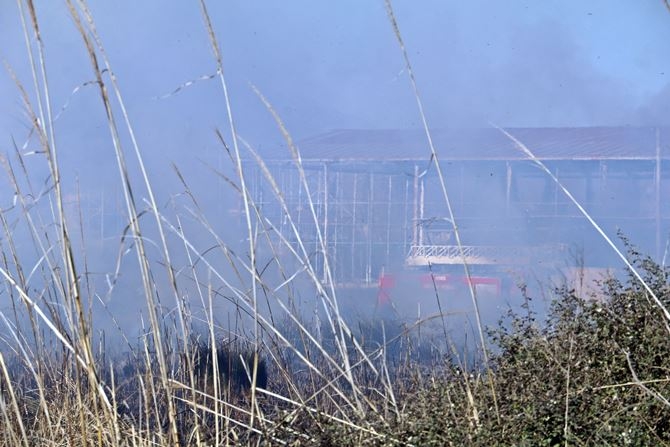 Antalya’da Korkutan Sazlık Yangını 4