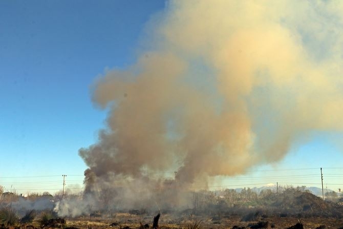 Antalya’da Korkutan Sazlık Yangını 6