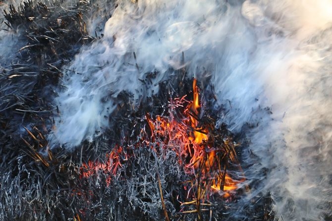 Antalya’da Korkutan Sazlık Yangını 7