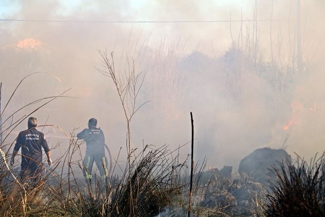 Antalya’da Korkutan Sazlık Yangını 8