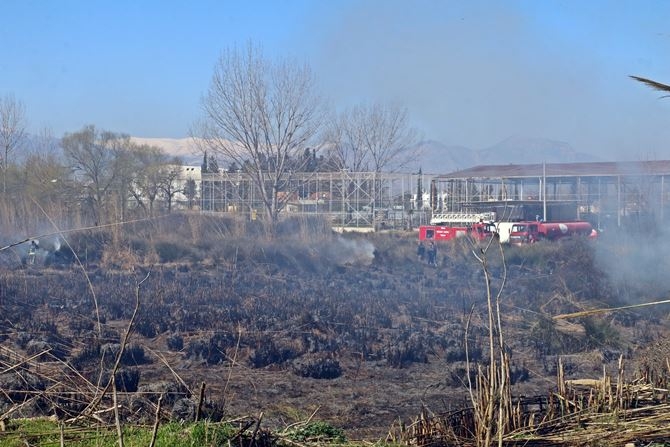 Antalya’da Korkutan Sazlık Yangını 9