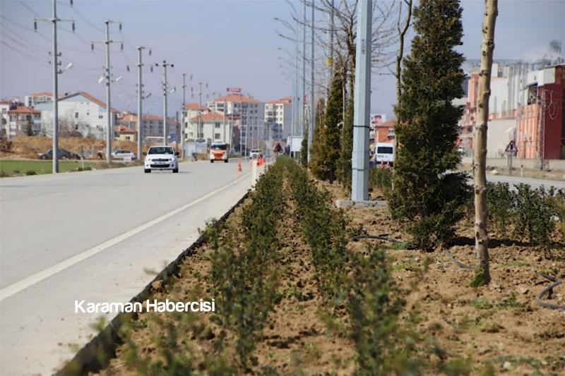 Yeşil Bir Karaman İçin Ağaçlandırma Çalışmaları Sürüyor 6