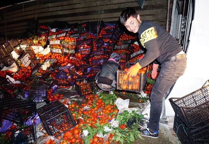 Antalya'da Karayolu Domates Tarlasına Döndü 5