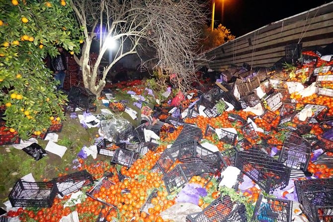 Antalya'da Karayolu Domates Tarlasına Döndü 9
